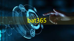 bat365官网登录入口：秦淮区智慧城市运营管理服务