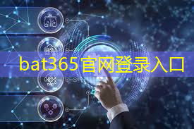 bat365官网登录入口：智慧城市平安城市项目